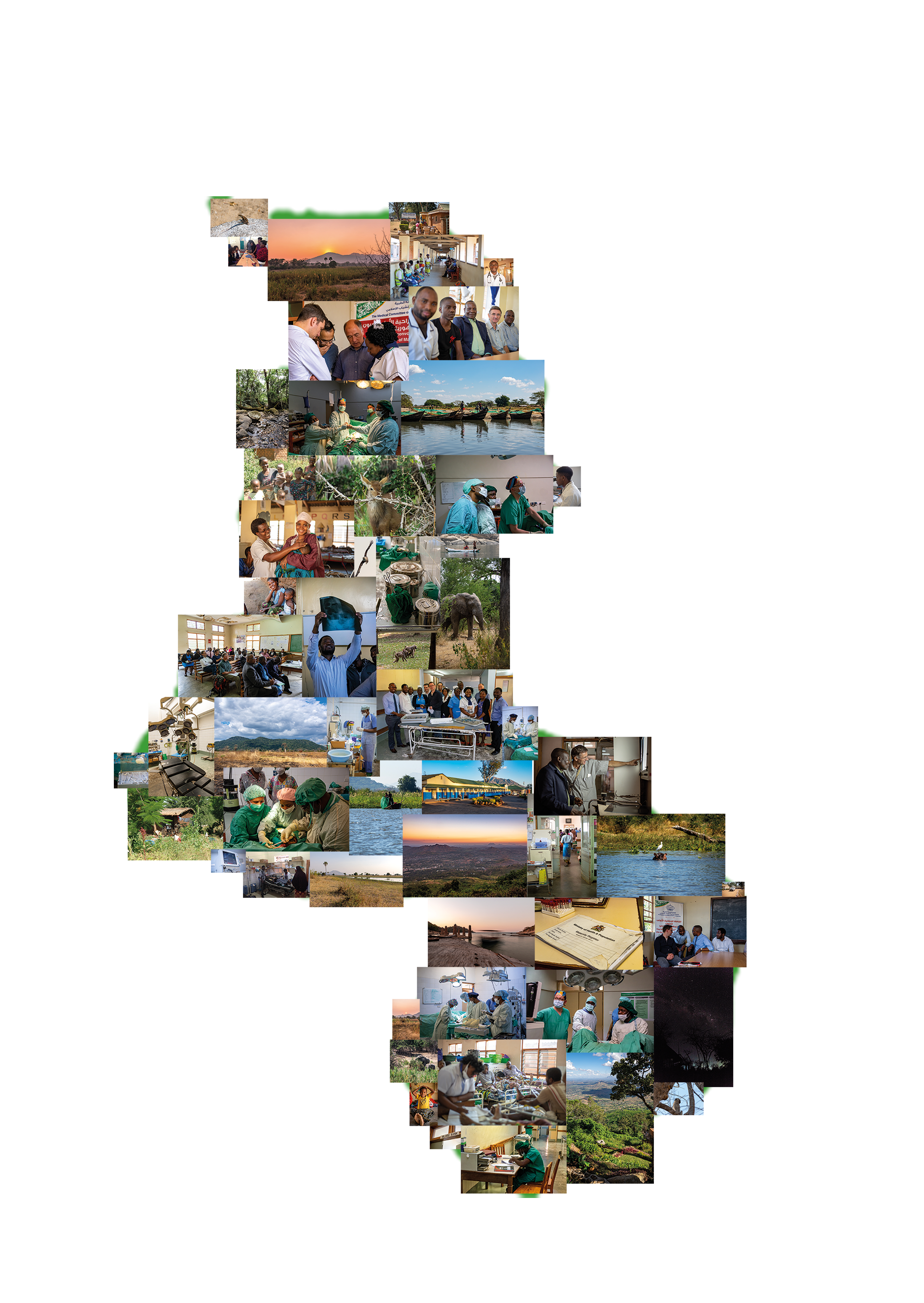 loader image